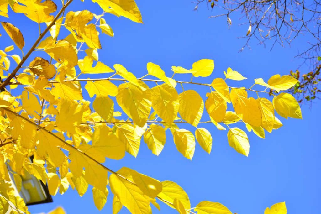 Previsioni Meteo Ucraina: aumento della temperatura e giornata soleggiata prevista per il 2 novembre