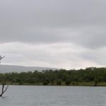 Estratto del nuovo romanzo di Ricuperati: ritorno al personaggio del precedente libro