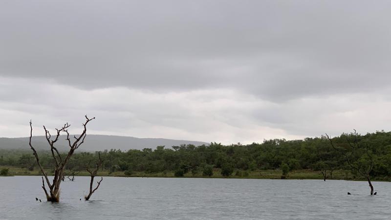 Estratto del nuovo romanzo di Ricuperati: ritorno al personaggio del precedente libro