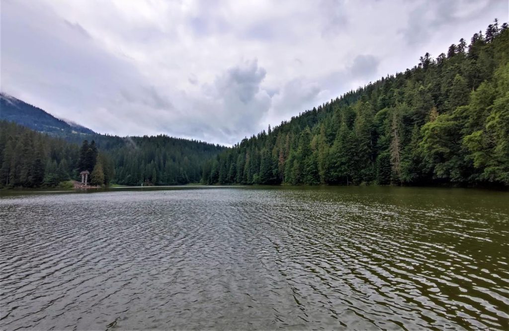 La Persistenza degli Specchi d&#039;Acqua: Un Equilibrio Delicato tra Evaporazione e Rifornimento di Acqua 

Introduzione
Un fenomeno interessante che si verifica negli ambienti acquatici è la persistenza degli specchi d&#039;acqua, come ad esempio i laghi, nonostante l&#039;evaporazione dell&#039;acqua. Questo ha sollevato interrogativi sulla stabilità di questi ecosistemi e sulle ragioni che li mantengono integri.

Approfondimento
Secondo gli studiosi di idrologia, la ragione per cui i laghi non vengono assorbiti nel terreno nonostante l&#039;evaporazione è legata a una serie di fattori. Innanzitutto, l&#039;evaporazione è un processo naturale che si verifica quando l&#039;acqua si trasforma da stato liquido a stato gassoso. Tuttavia, questo processo non è sufficiente a eliminare completamente l&#039;acqua presente in un lago.

Possibili Conseguenze
Se i laghi venissero assorbiti nel terreno, ciò potrebbe avere conseguenze significative sugli ecosistemi acquatici e sulla vita che dipende da questi ambienti. La perdita di acqua potrebbe influire sulla biodiversità, sulla qualità dell&#039;acqua e sulla stabilità degli ecosistemi.

Opinione
Nonostante l&#039;importanza di comprendere i meccanismi che regolano la persistenza dei laghi, non ci sono opinioni univoche sulla questione. Gli studiosi continuano a studiare e a discutere i fattori che influenzano la stabilità di questi ambienti.

Analisi Critica dei Fatti
Un&#039;analisi critica dei fatti rivela che la persistenza dei laghi è il risultato di un equilibrio delicato tra i processi di evaporazione, infiltrazione e rifornimento di acqua. Questo equilibrio è influenzato da fattori come la morphologia del terreno, la geologia e il clima.

Relazioni con altri fatti
I meccanismi che regolano la persistenza dei laghi sono strettamente legati ad altri fenomeni idrologici, come la circolazione dell&#039;acqua sotterranea e la formazione di falde acquifere. La comprensione di questi processi è fondamentale per gestire in modo sostenibile le risorse idriche.

Contesto storico
La questione della persistenza dei laghi ha suscitato l&#039;interesse degli studiosi per secoli. Già nell&#039;antichità, gli scienziati e i filosofi si interrogavano sulla natura e sulle proprietà dell&#039;acqua e sulla sua capacità di persistere negli ambienti naturali.

Fonti
La fonte di questo articolo è RSS Fonte, un sito di notizie e informazioni che fornisce aggiornamenti su argomenti di attualità e di interesse scientifico.