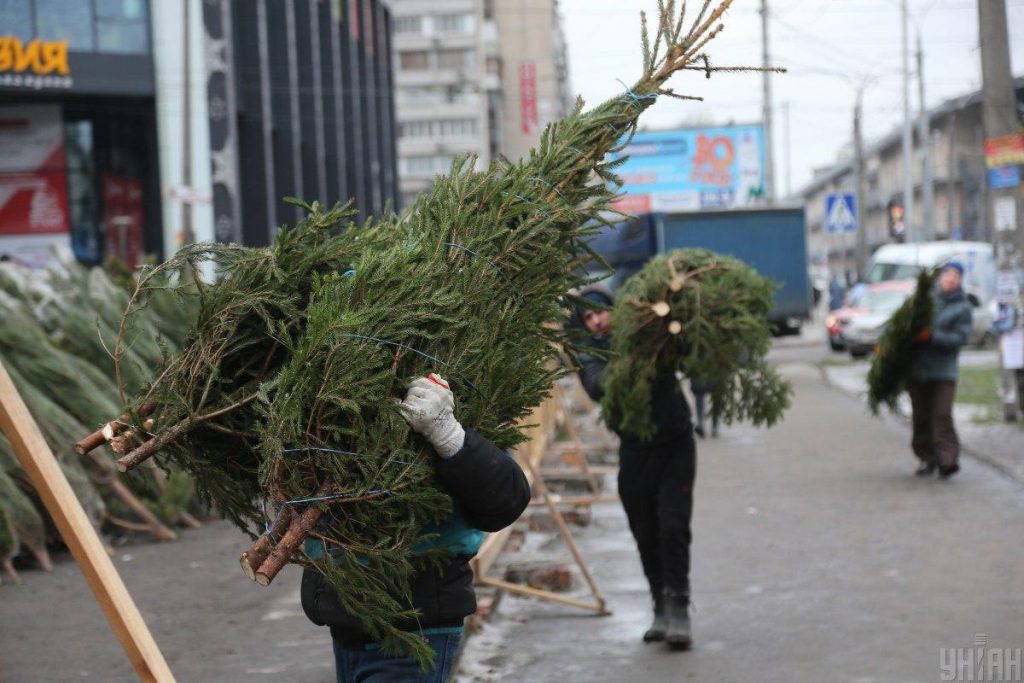 Mercati festivi a Kiev: dove trovare gli alberi di Natale e i loro costi