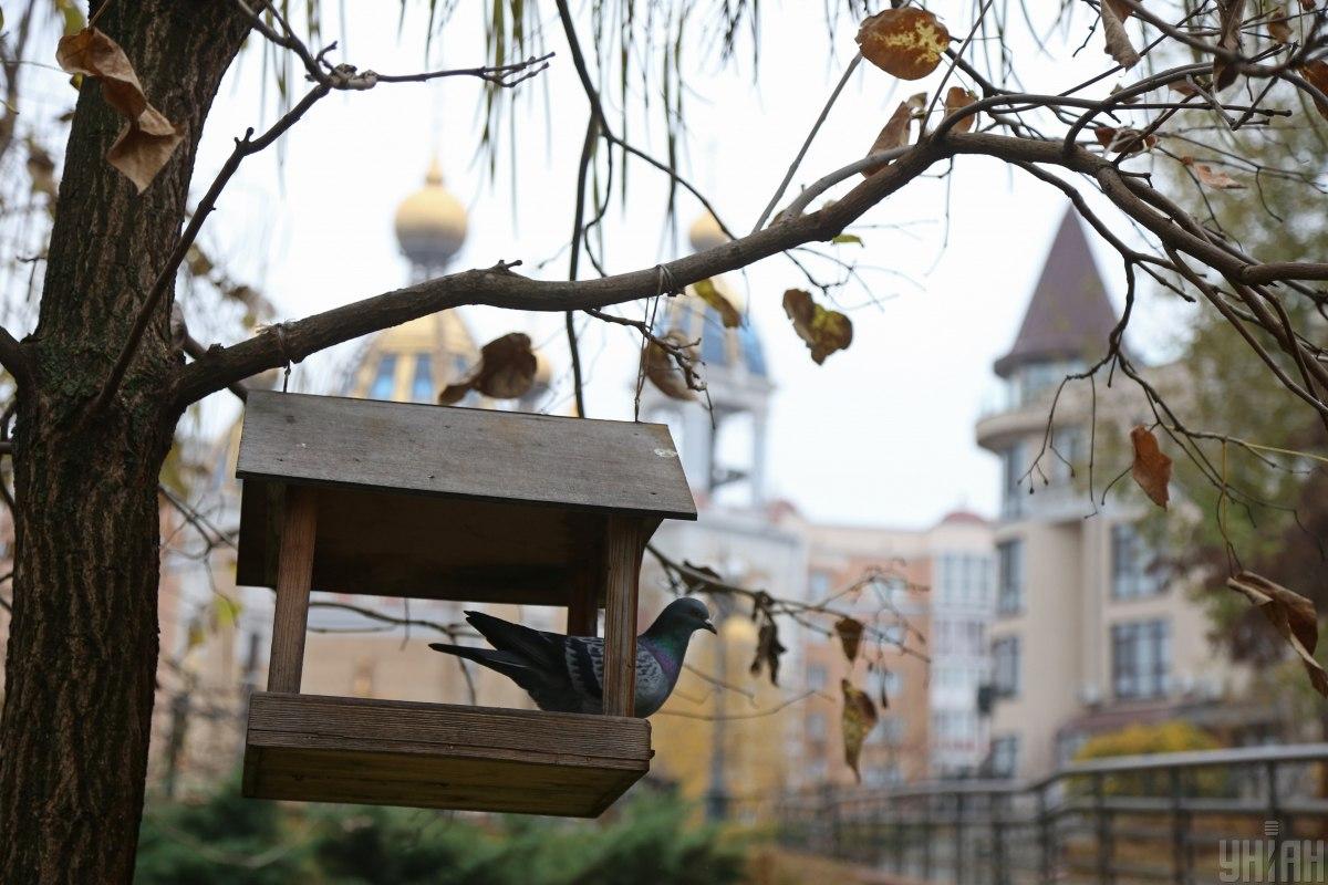 Previsioni meteo: West più freddo, Sud continua con clima autunnale caldo