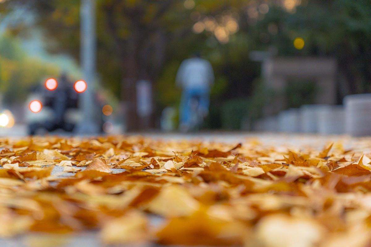 Previsioni di pioggia a fine novembre a causa di contrasti di temperatura