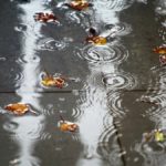 Previsioni meteo 24 novembre: temperature tra +1 °C e +5 °C, pioggia leggera in nord e centro.