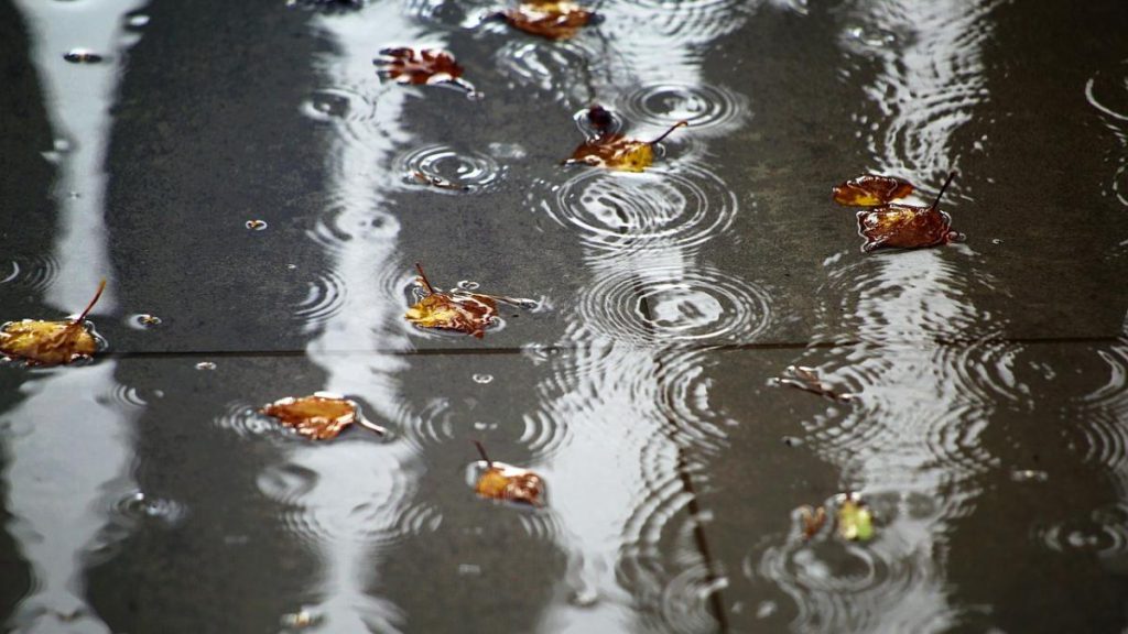 Forte Maltempo in Arrivo in Ucraina: Previsioni Meteo per l&#039;11 Novembre