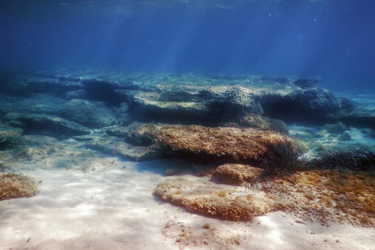 Scoperta di metalli preziosi nel fondale del Pacifico alimenta dispute tra nazioni