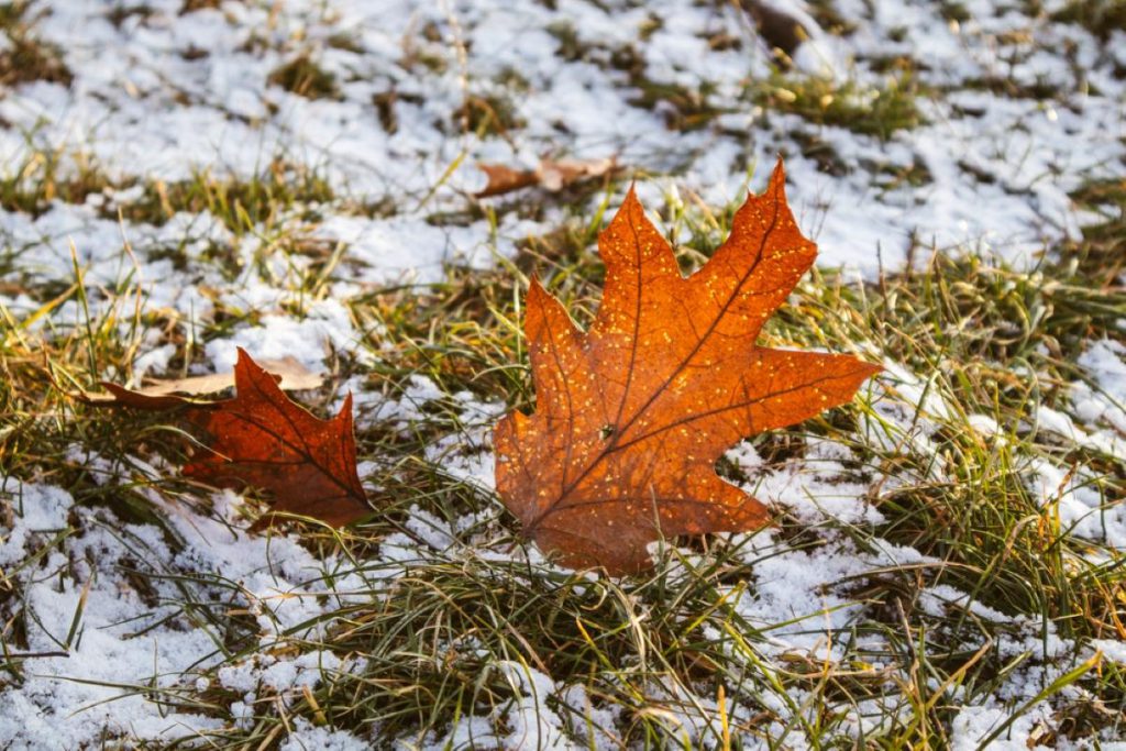 Kiev: prima gelata autunnale registrata, periodo senza gelate dal 12 aprile