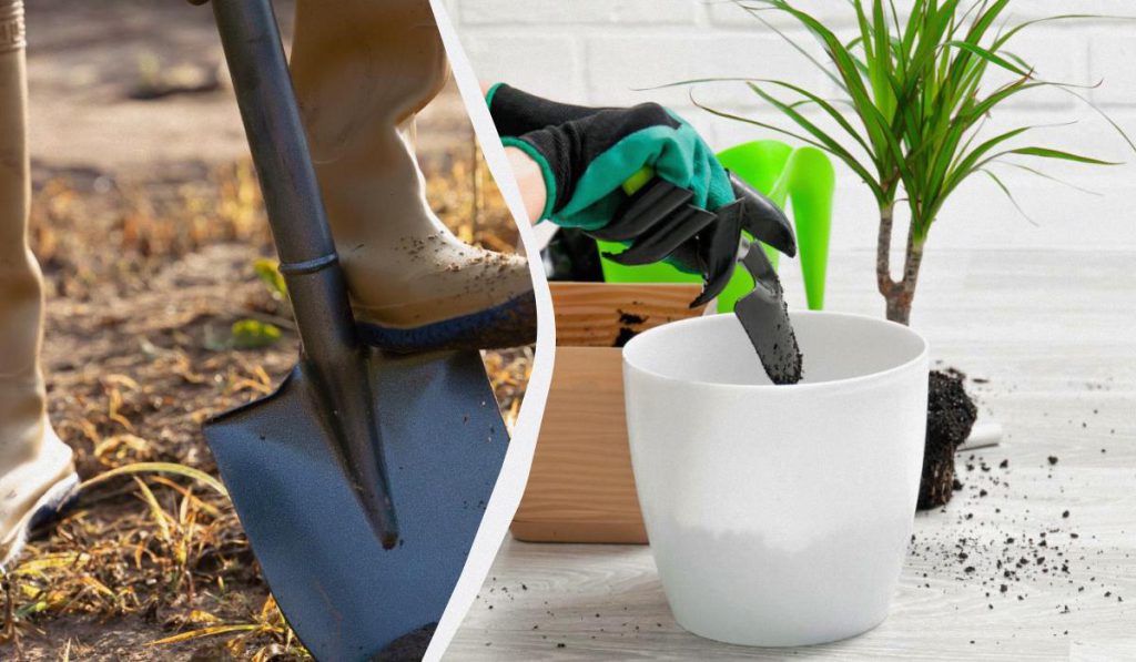 Calendario Lunare di Semina: Uno Strumento Utile per la Piantagione di Ortaggi e Alberi?