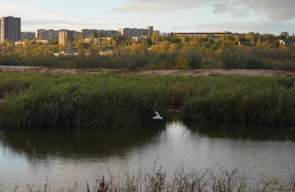La Natura si Riprende: il Fiume Rosso di Zaporižžja si Trasforma in un Ecosistema Florido