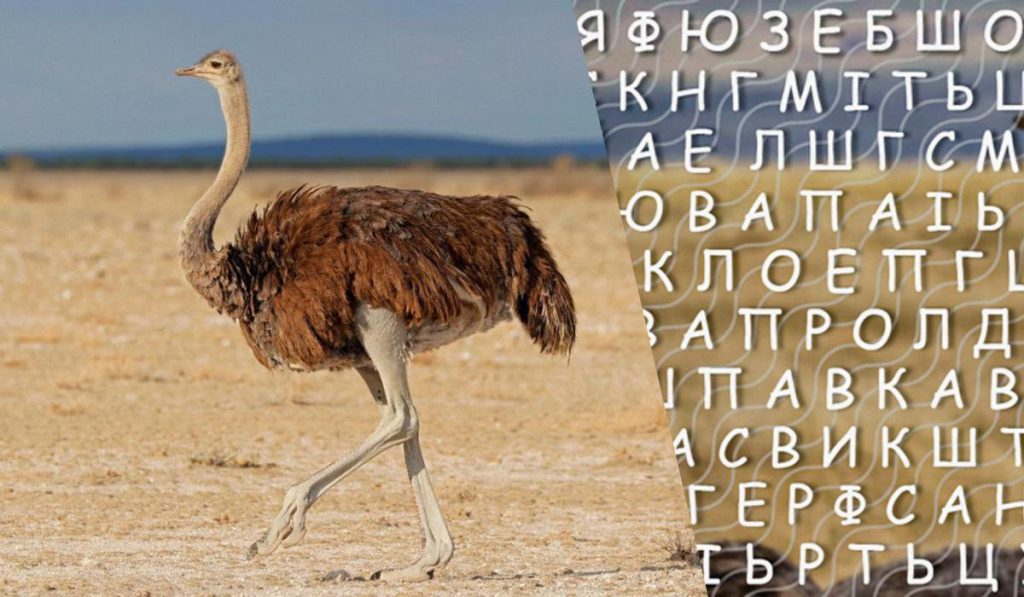 Sfida Intellettuale: Trova la Parola &quot;Struzzo&quot; in 10 Secondi e Metti alla Prova le Tue Capacità Cognitive