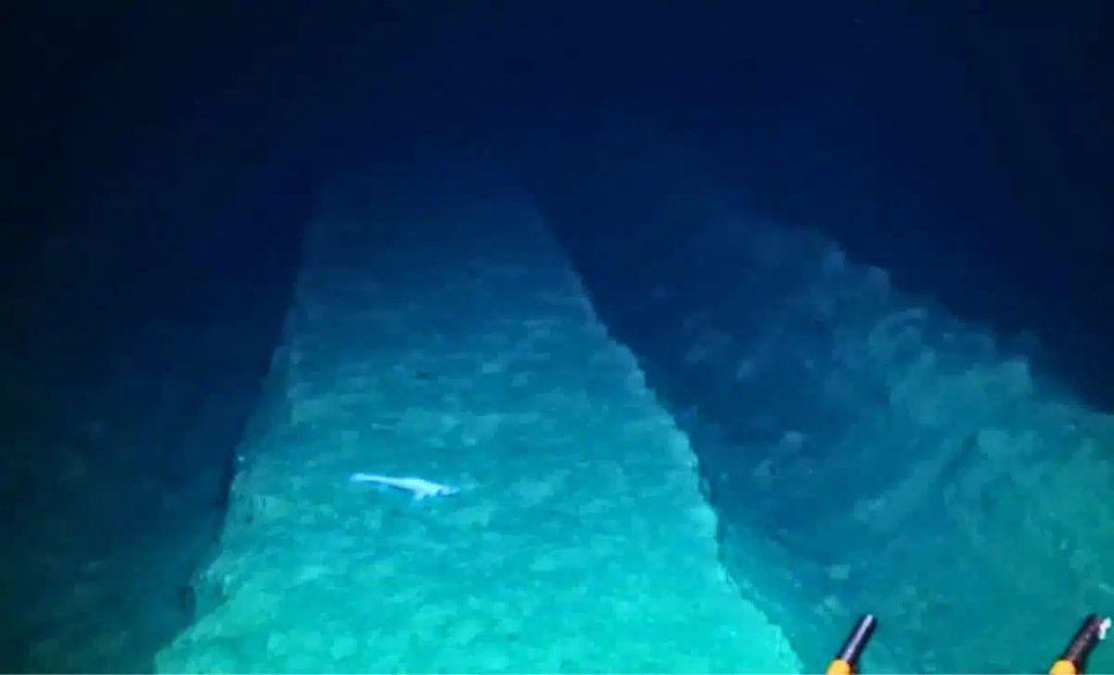 L&#039;impatto devastante dell&#039;estrazione mineraria sul fondale oceanico: 44 anni dopo un esperimento che continua a sconvolgere gli scienziati