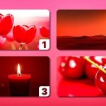 Scopri la tua personalità attraverso il colore rosso: un test visivo semplice ma affascinante