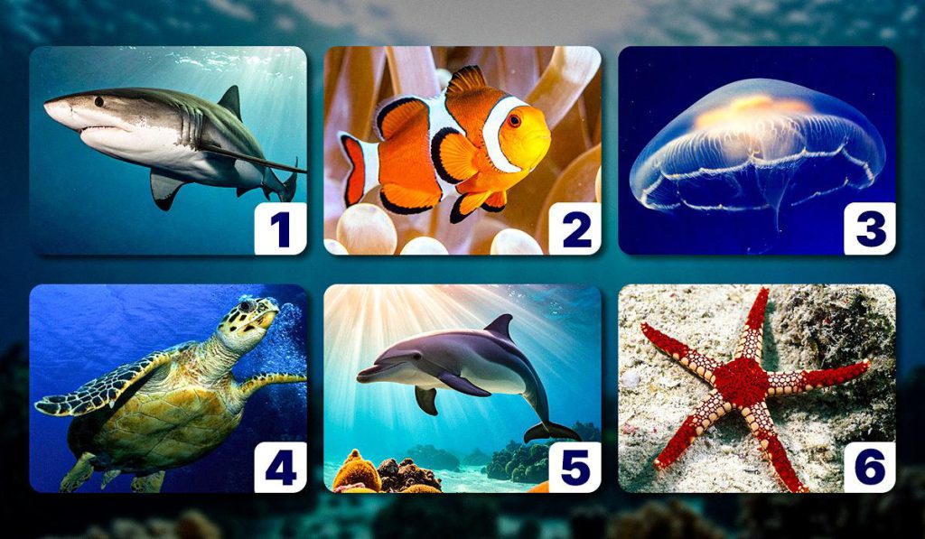 Scopri il Segreto della Tua Personalità: Un Test con gli Animali Marini per Conoscere Te Stesso