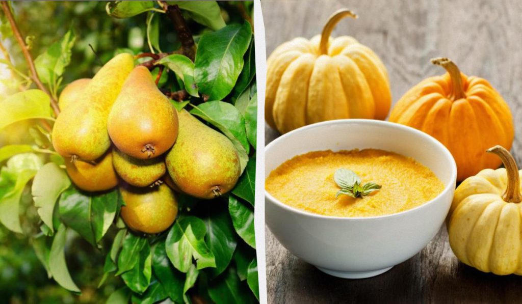 Alimentazione Equilibrata per l&#039;Autunno: 8 Prodotti Stagionali contro l&#039;Infiammazione per una Salute Migliore