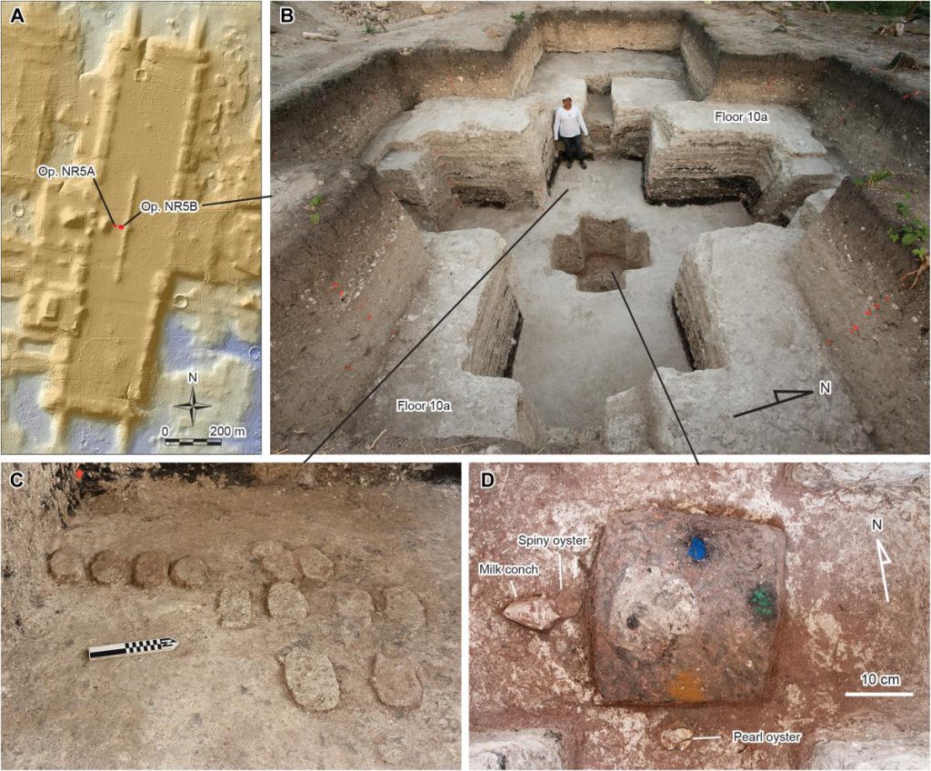 Scoperta dell&#039;antico insediamento maya di Aguada Fénix: un esempio unico di architettura e cosmologia maya in Messico