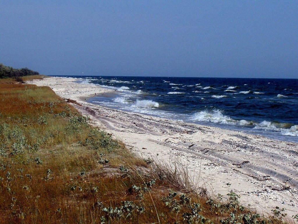 Danni ambientali e umanitari nella penisola di Kinburn: le conseguenze della guerra in Ucraina