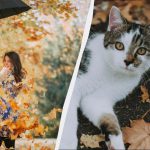 Superstizioni e Tradizioni del 7 Novembre 2025: Una Analisi Approfondita delle Credenze e delle Conseguenze