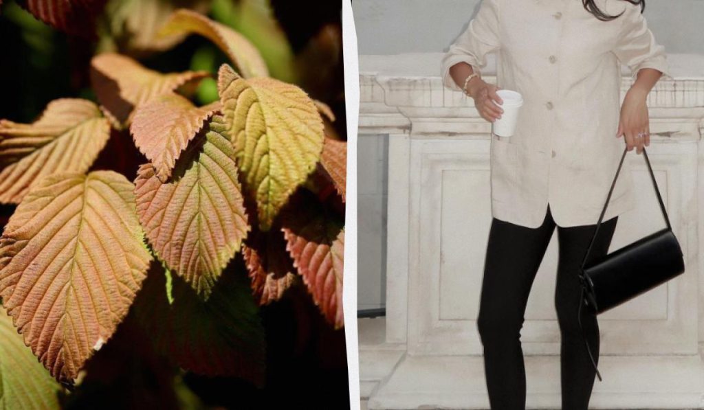 Il Ritorno dei Leggins degli Anni &#039;80: Una Nuova Vita per un Classico della Moda