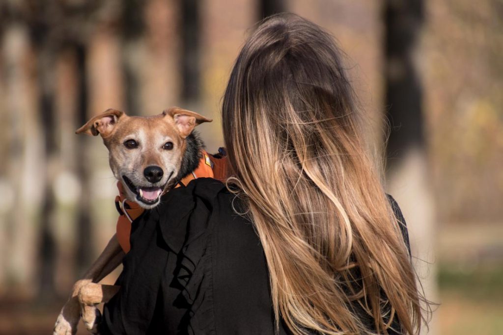 La Durata Ottimale delle Passeggiate con il Cane: Un Approccio Personalizzato per la Salute e il Benessere dei Nostri Amici a Quattro Zampe