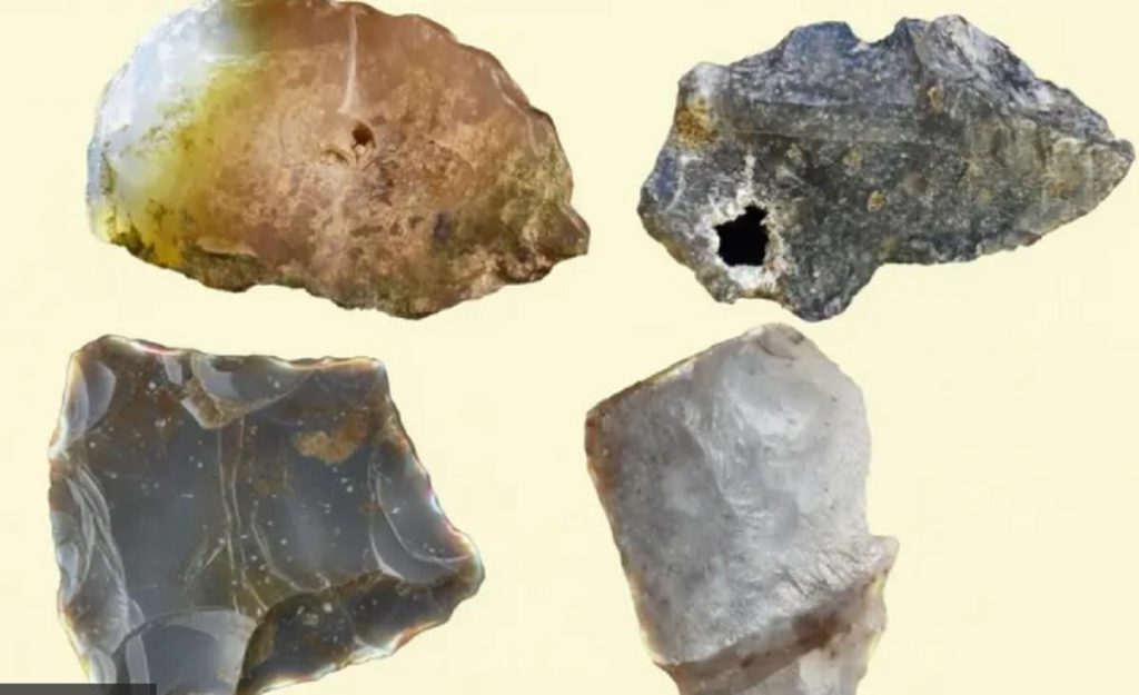 Scoperta Rivoluzionaria sull&#039;Evoluzione Umana: Gli Esseri Umani Hanno Creato Strumenti di Lavoro Molto Prima di Quanto Si Pensasse