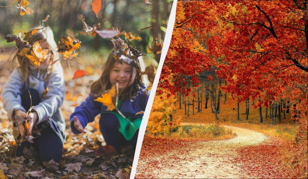 Il 10 Novembre: Una Data Speciale per la Cultura Ucraina