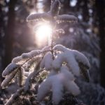 Domenica in Ucraina: neve bagnata, piogge, nebbia e ghiaccio in gran parte del paese