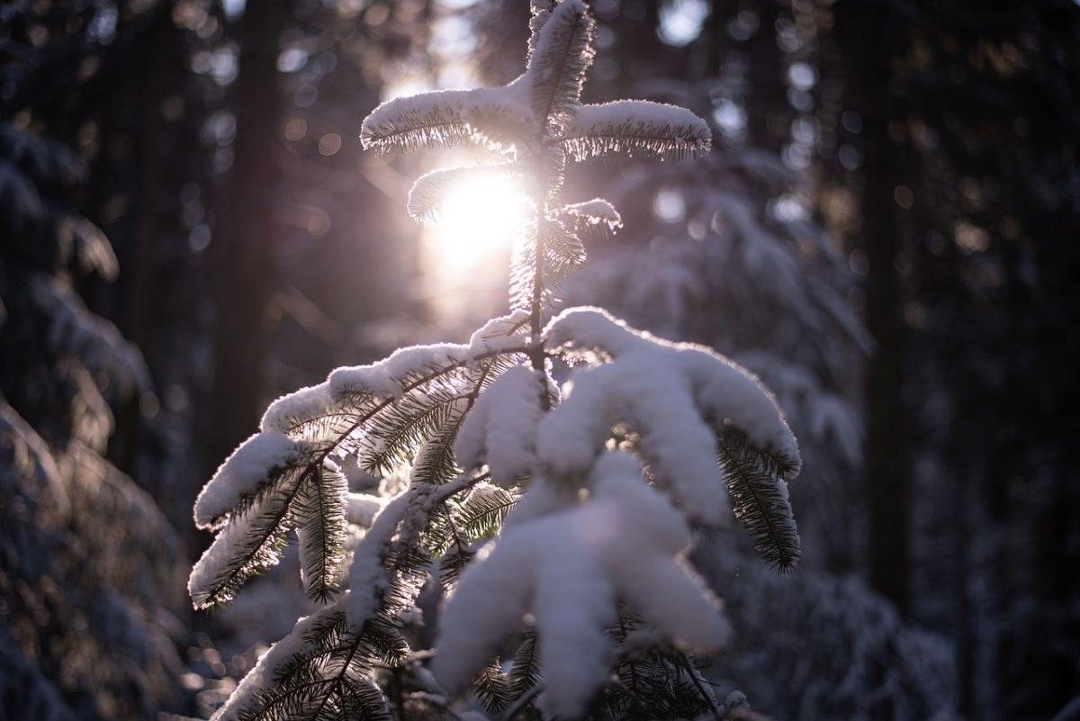 Domenica in Ucraina: neve bagnata, piogge, nebbia e ghiaccio in gran parte del paese