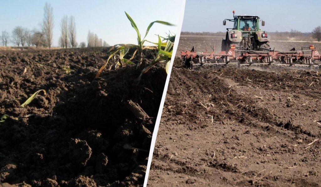 Il Terriccio Nero: il Suolo più Fertile del Mondo e le Minacce alla sua Esistenza