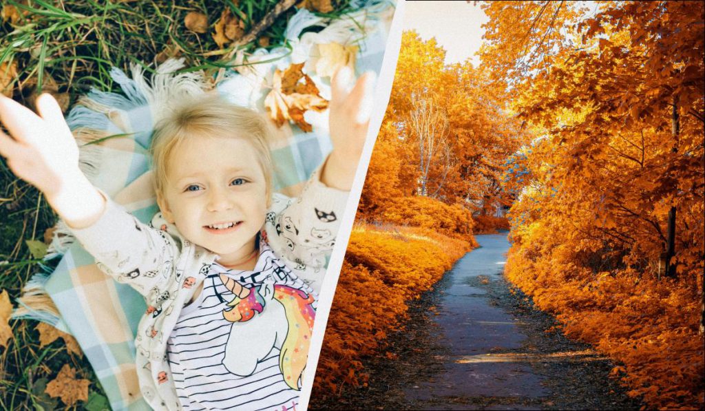 Celebrazioni del 11 novembre: una data importante per diverse culture e comunità