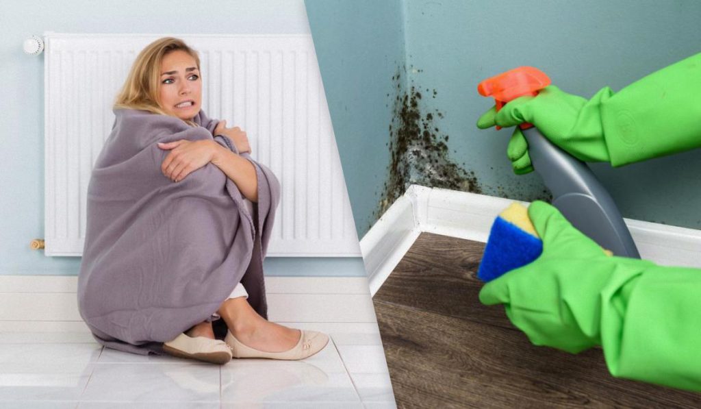 La muffa nelle case non riscaldate: cause, effetti e soluzioni per un ambiente salutare