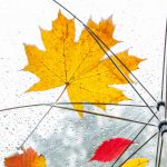 Previsioni Meteo Ucraina: Piogge e Freddo in Arrivo, Cosa Aspettarsi e Cosa Fare