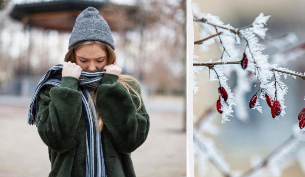 Otto tonalità di moda previste per l&#039;inverno