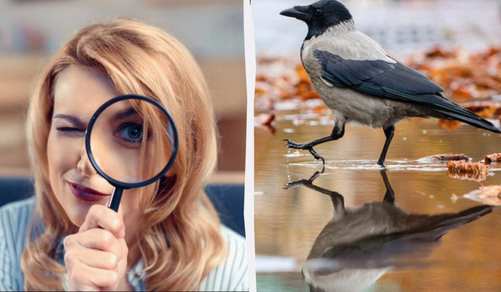 Trova tre differenze in 12 secondi: test di osservazione rapido