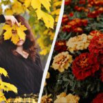 Il 23 novembre 2025: tradizione di congratulazioni agli artisti e preparazione di dolci