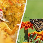 Tradizione del 24 novembre: semina invernale e preghiera per il benessere femminile