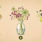 Test di auto‑valutazione: scopri quale obiettivo è più vicino a realizzarsi