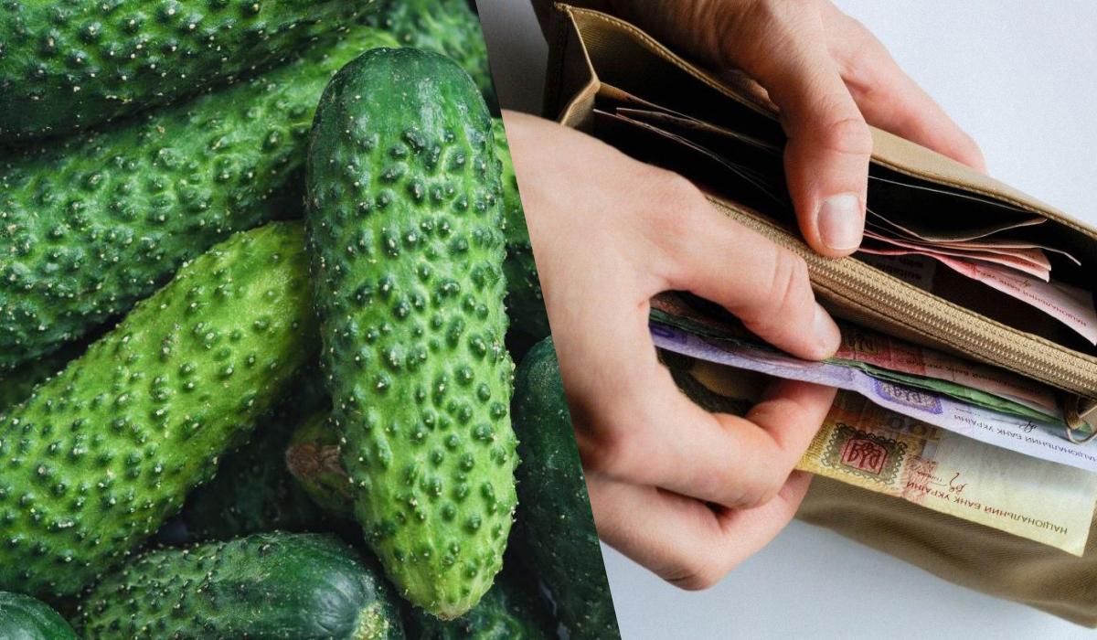 Prezzo del cetriolo: quanto costa un chilogrammo oggi?