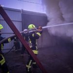 Cervo del Kiev Zoo in recupero dopo ferite riportate durante l’attacco russo