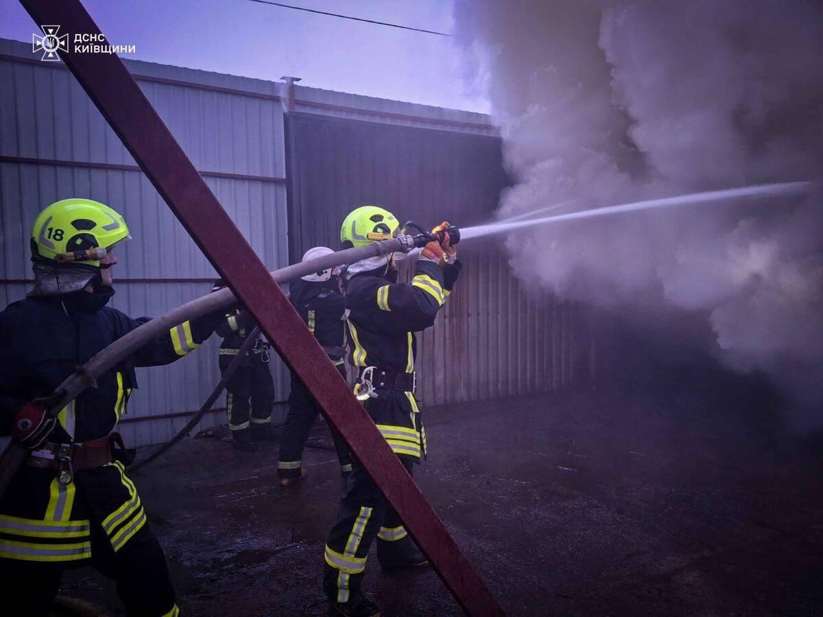 Cervo del Kiev Zoo in recupero dopo ferite riportate durante l’attacco russo