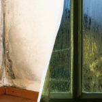 Riduzione dell’umidità e della condensa nelle finestre: cause e soluzioni pratiche