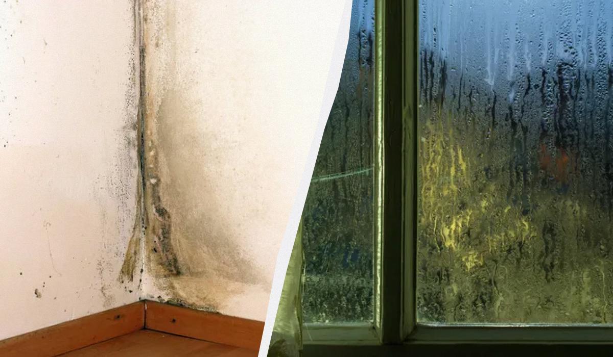 Riduzione dell’umidità e della condensa nelle finestre: cause e soluzioni pratiche