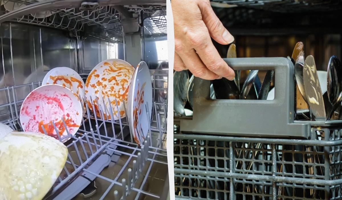 Video dell'interno di una lavastoviglie provoca reazioni contrastanti