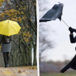 Previsioni meteo per il 24 novembre: pioggia, neve bagnata e zone asciutte