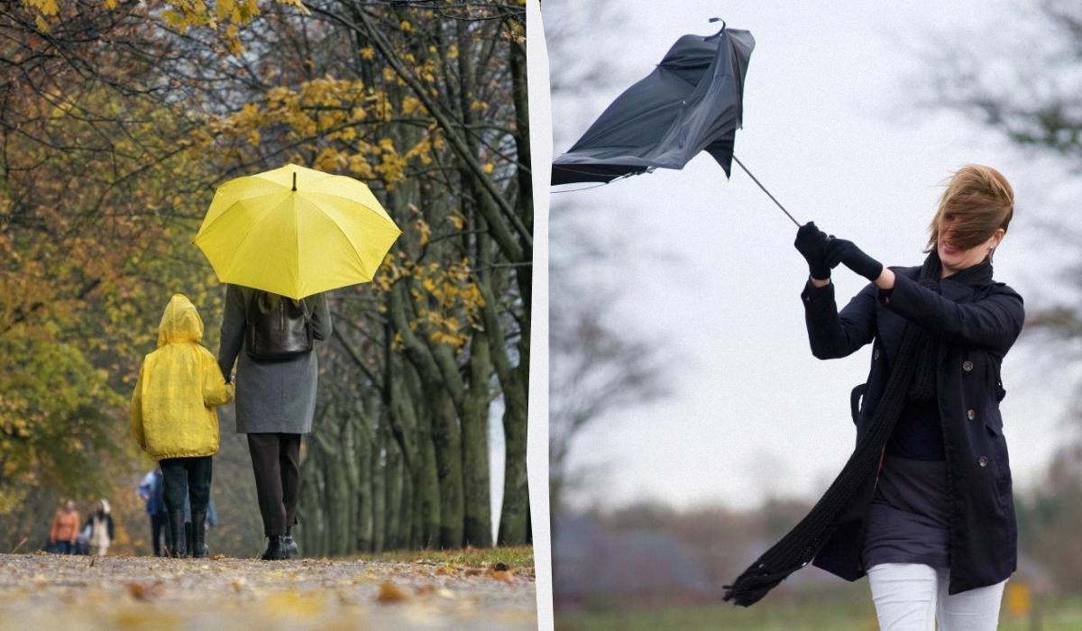 Previsioni meteo per il 24 novembre: pioggia, neve bagnata e zone asciutte