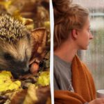 Previsioni meteo per martedì: condizioni non favorevoli per alcuni