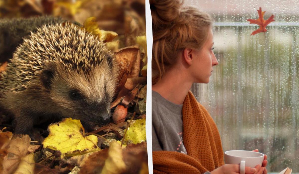 Previsioni meteo per martedì: condizioni non favorevoli per alcuni