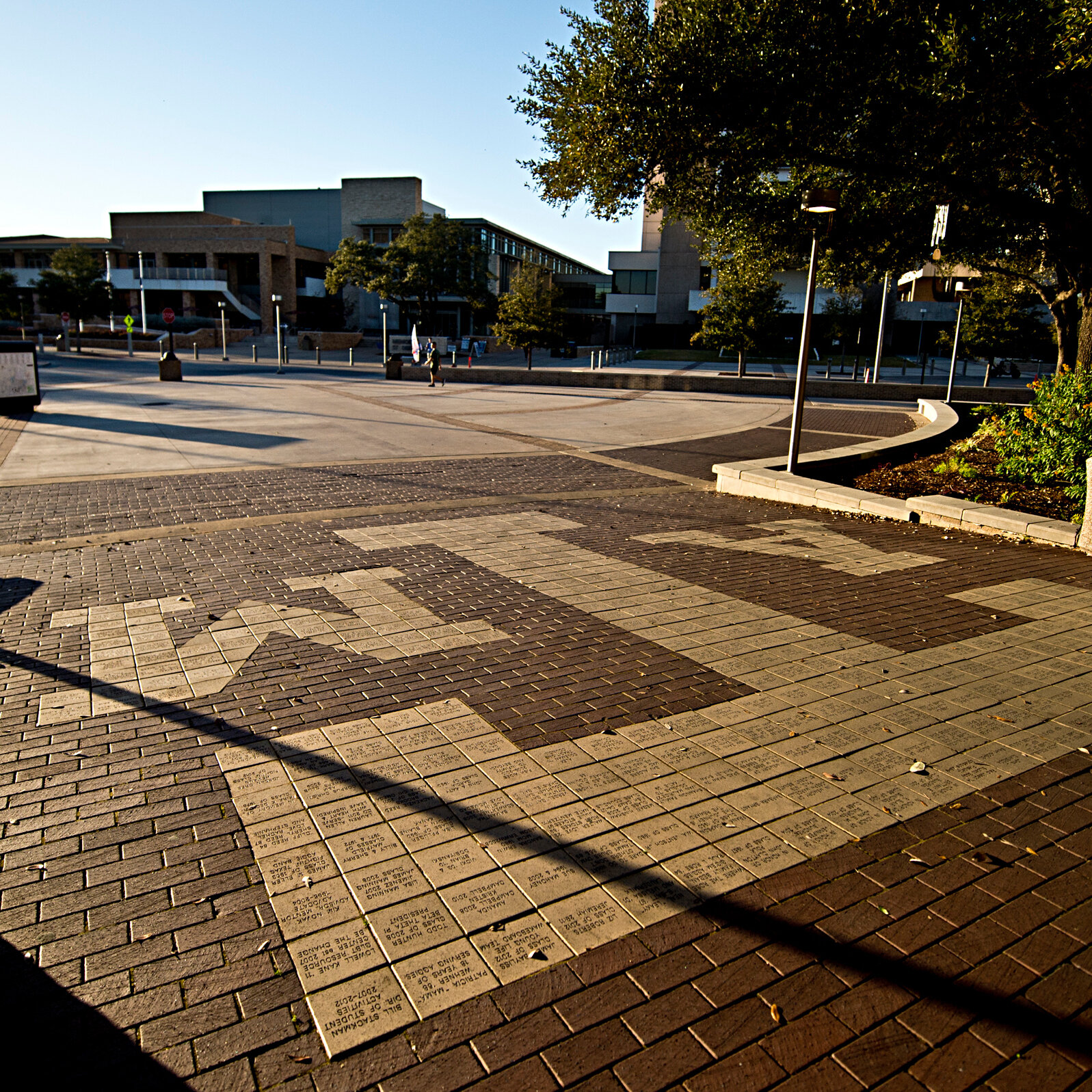 Texas A&M licenzia la professoressa Melissa McCoul per una lezione sul genere e le regole del panel