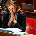 L'euro come strumento di stabilità nella crisi di bilancio francese