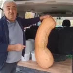 Una zucca da 47 kg e 113 cm sorprende in Elazığ