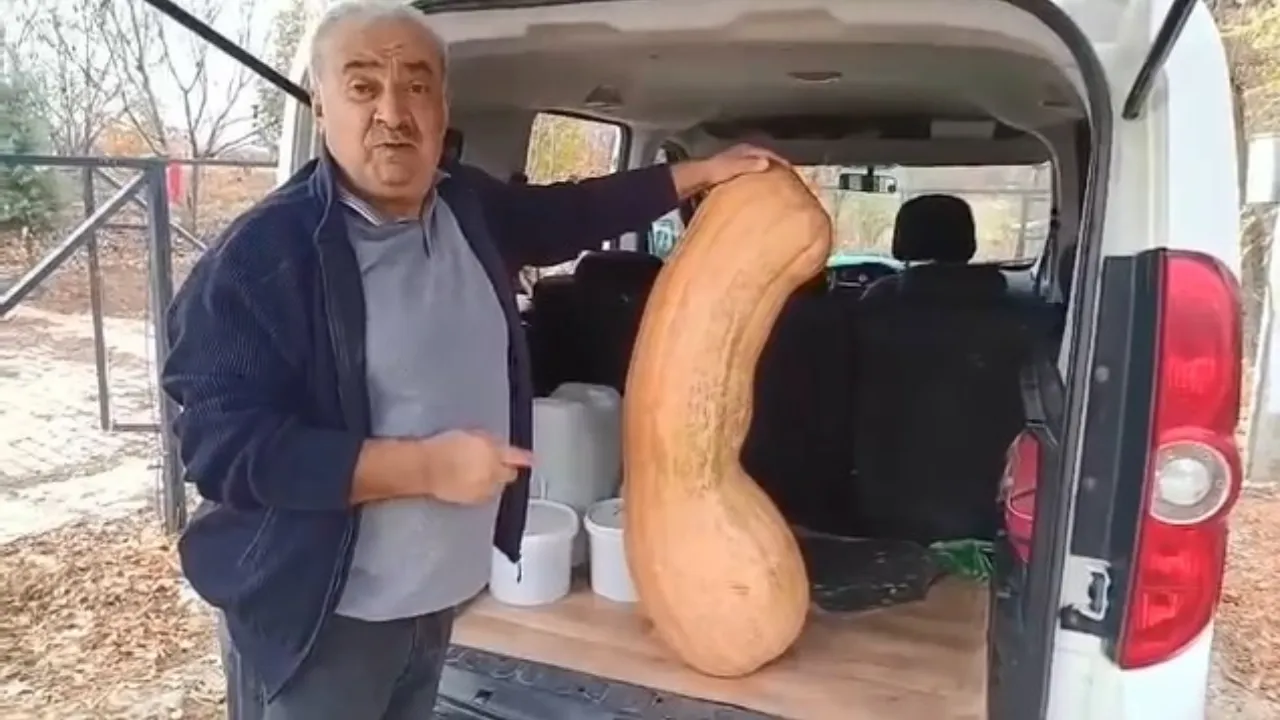 Una zucca da 47 kg e 113 cm sorprende in Elazığ